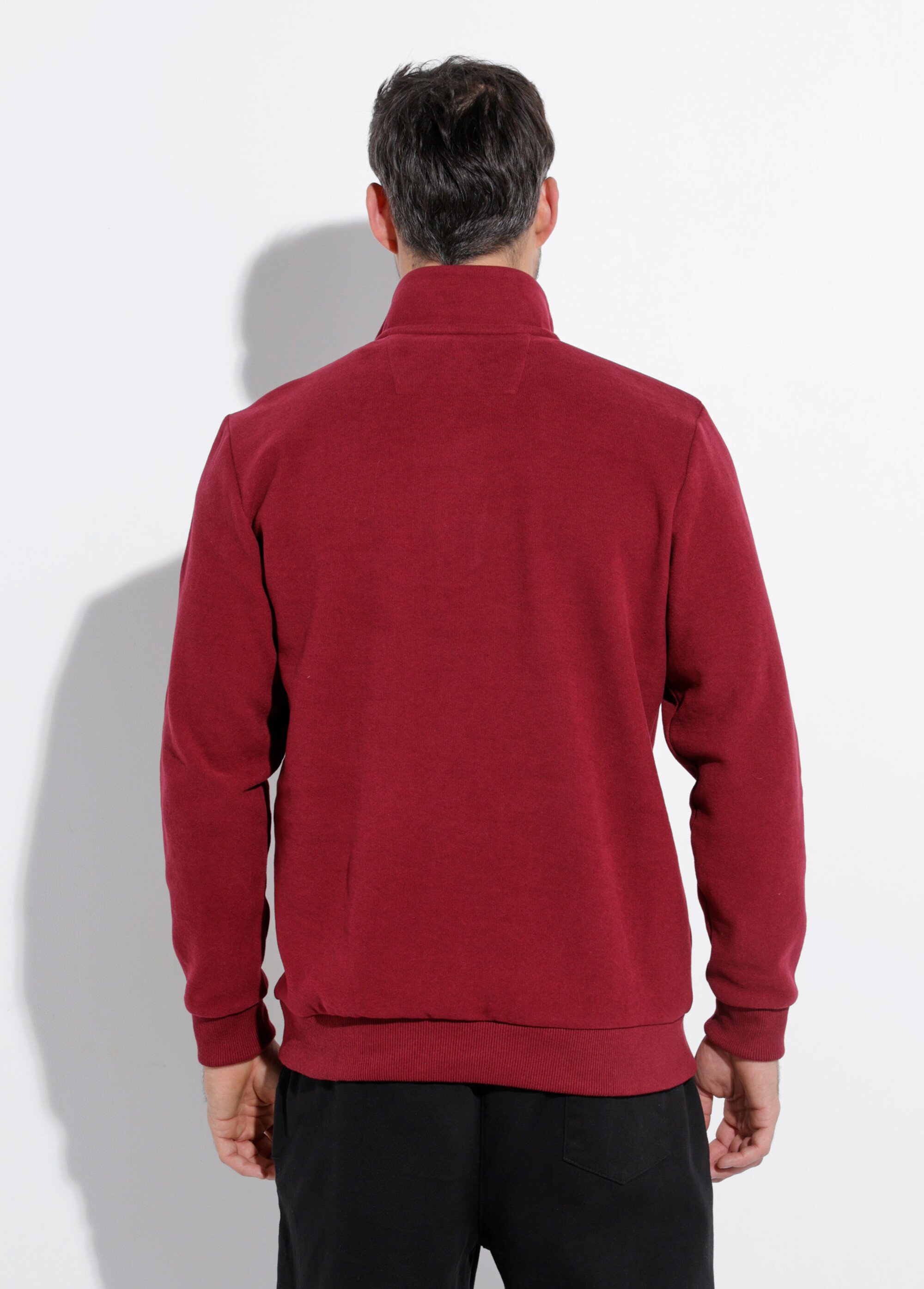 Pull épais jersey de coton, col zippé Homme Rouge STI22931 DO1