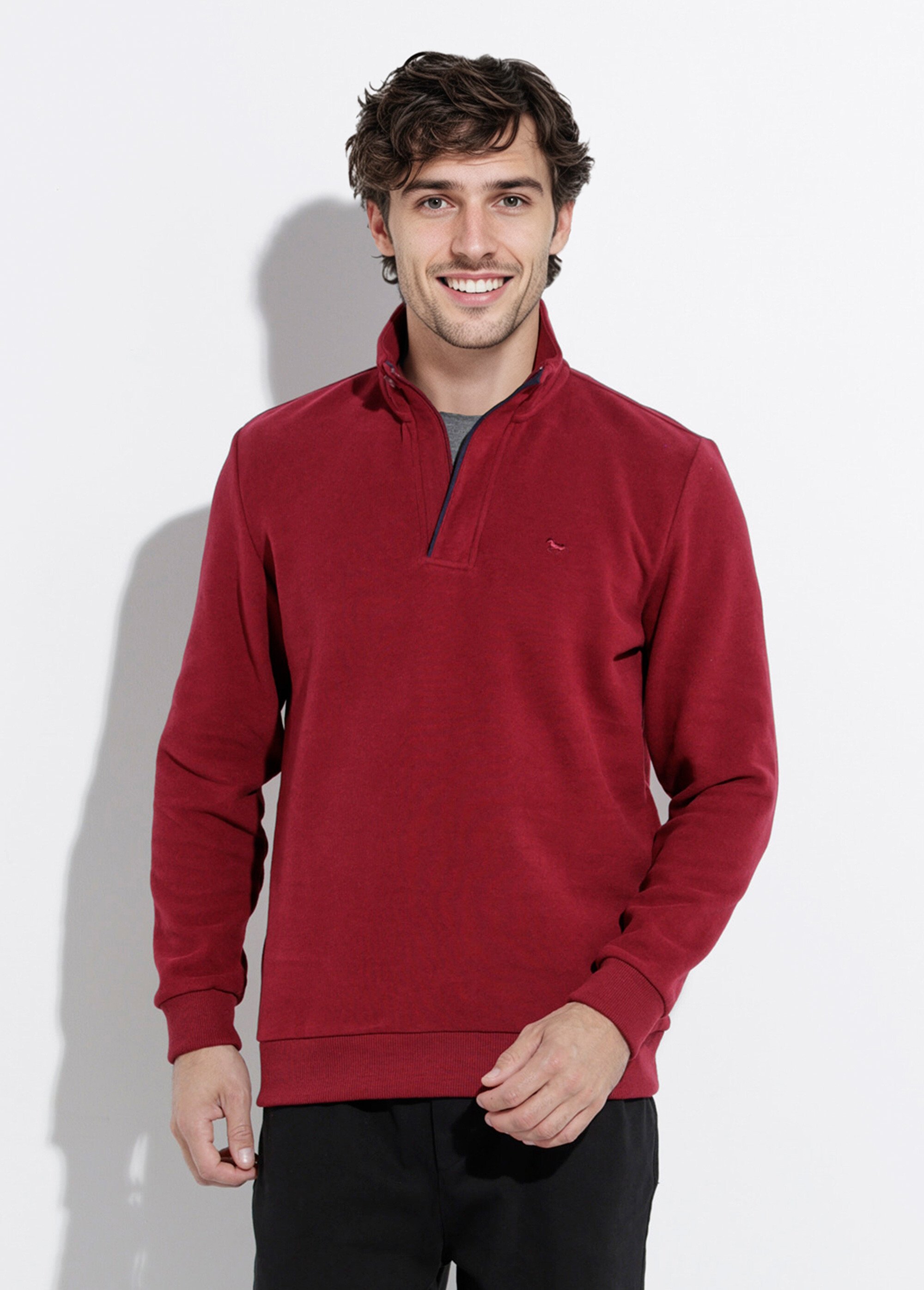 Pull épais jersey de coton, col zippé Homme Rouge STI22931 FA1