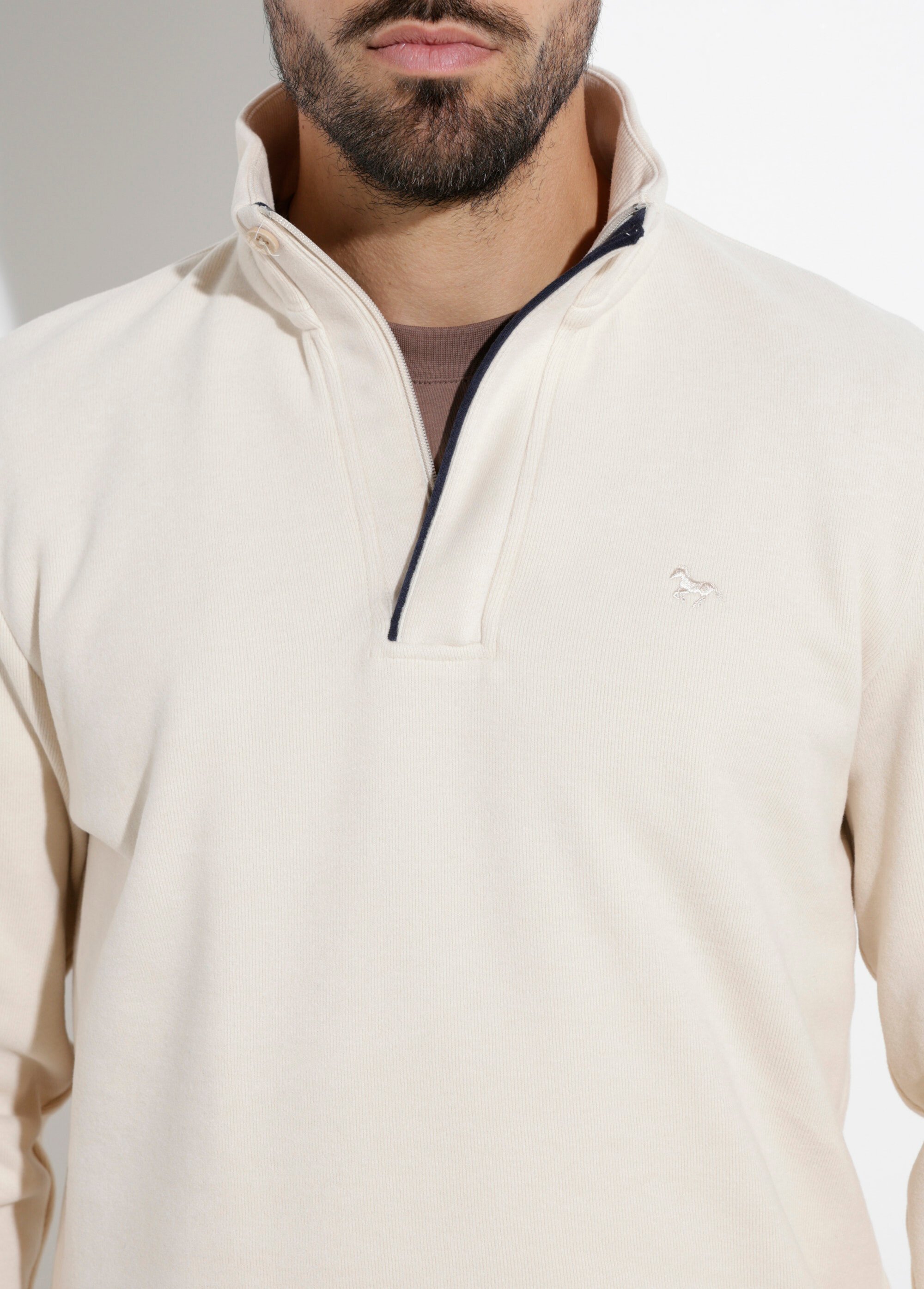 Pull épais jersey de coton, col zippé Homme Beige STI22931 DE1