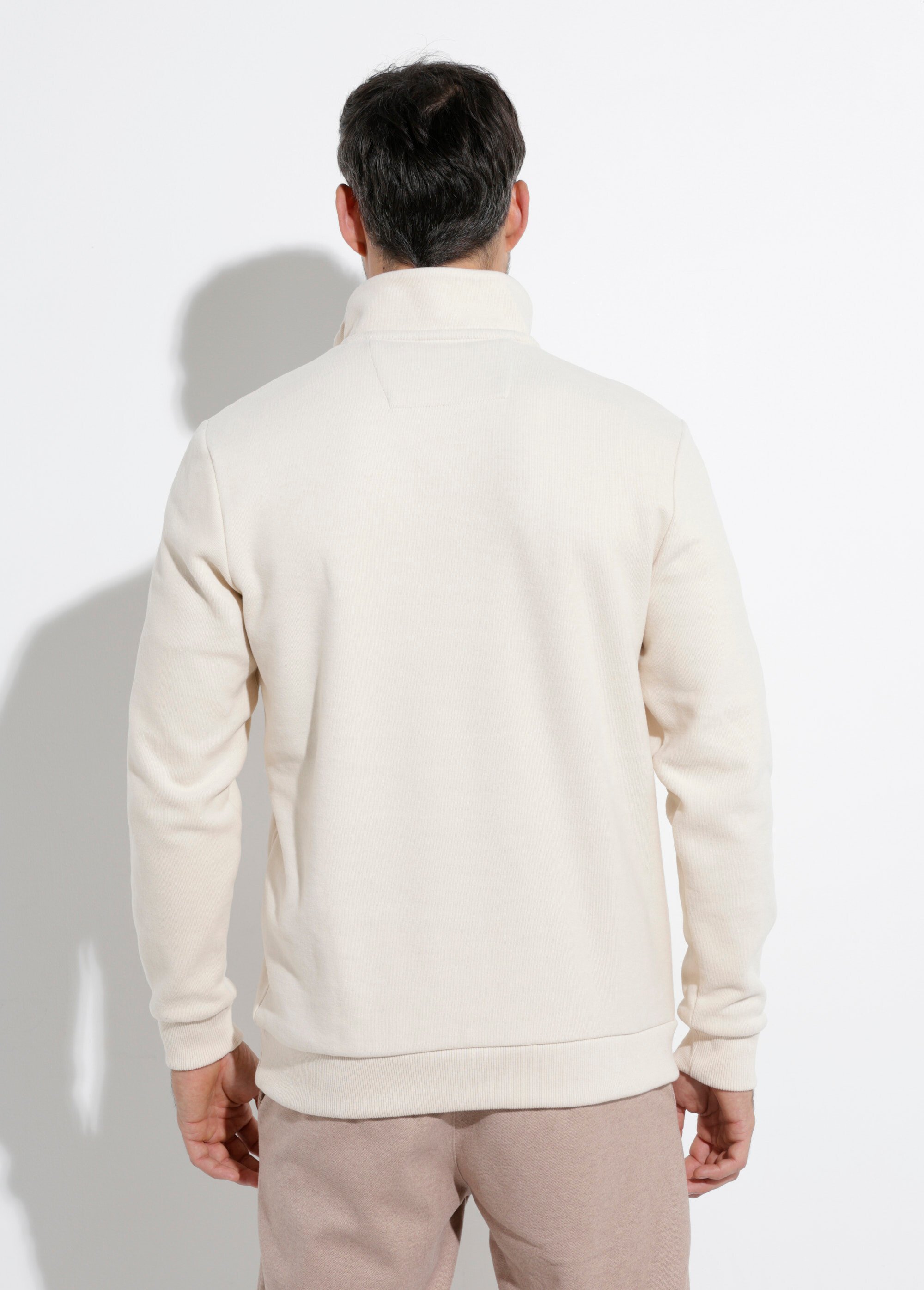 Pull épais jersey de coton, col zippé Homme Beige STI22931 DO1