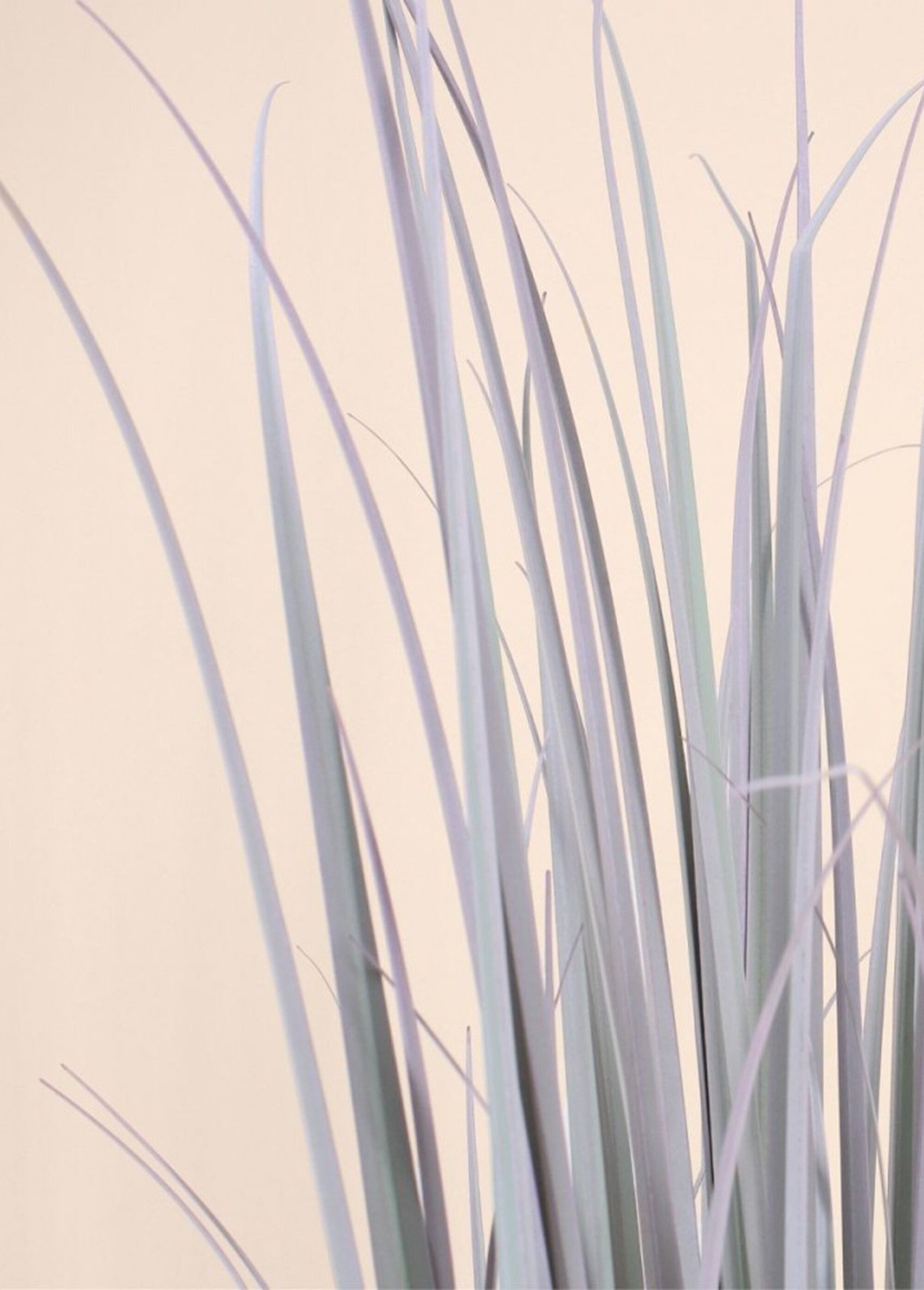 Plante artificielle Phormium façon fagot Vert NOR-24526 DE2