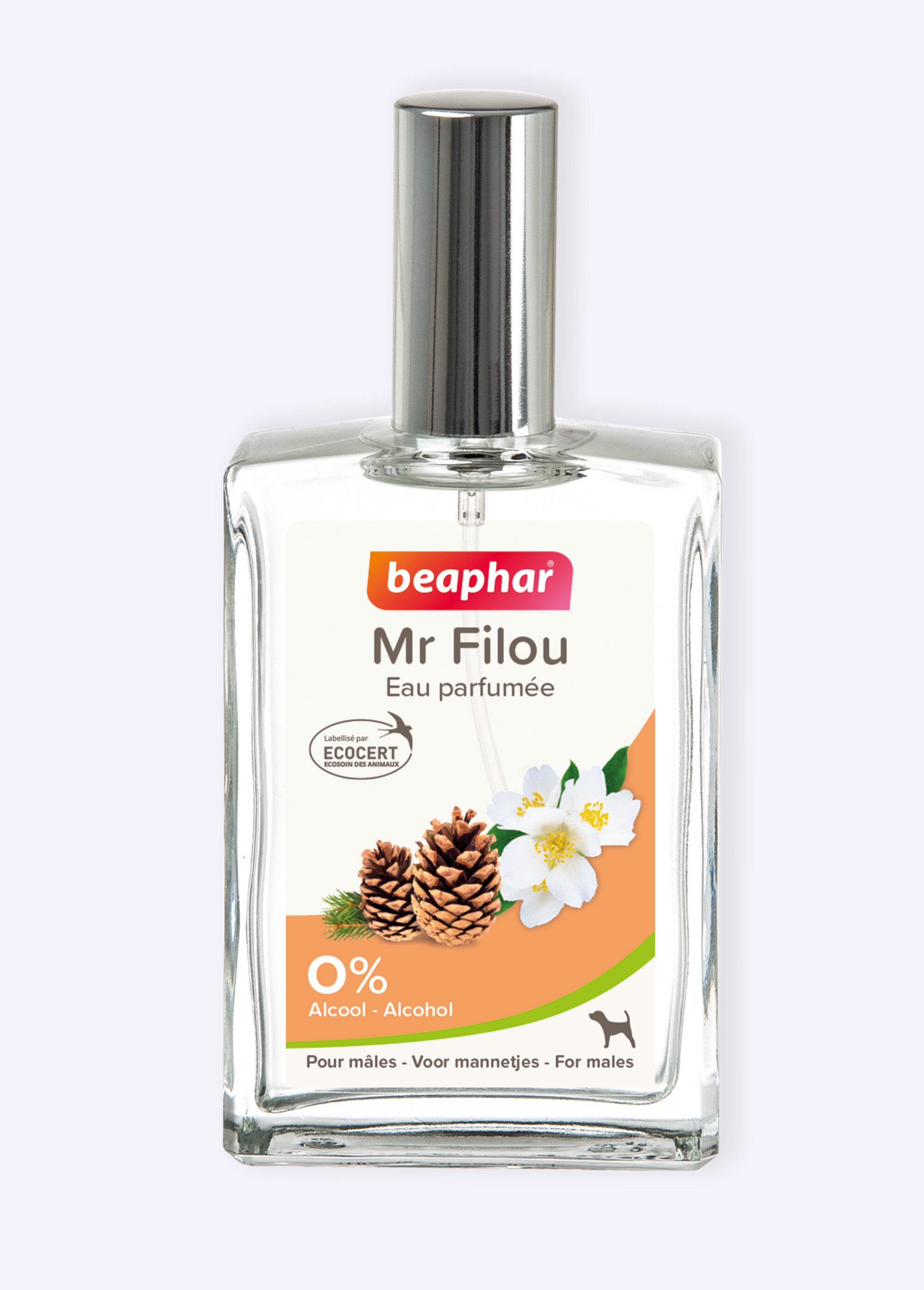 Eau parfumée sans alcool, chien mâle