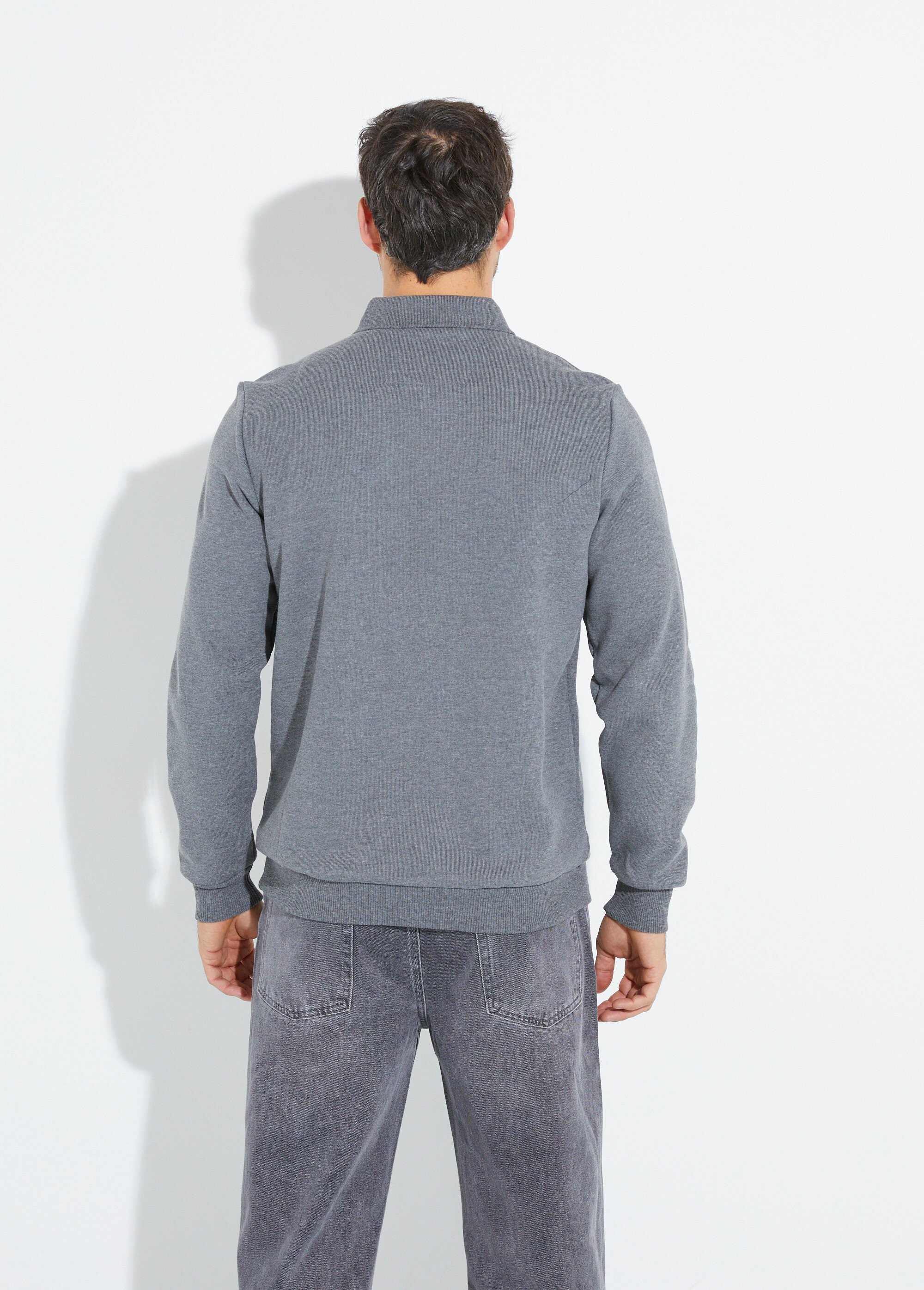 Sweat col polo, intérieur molletonné Gris STI22911 DO1