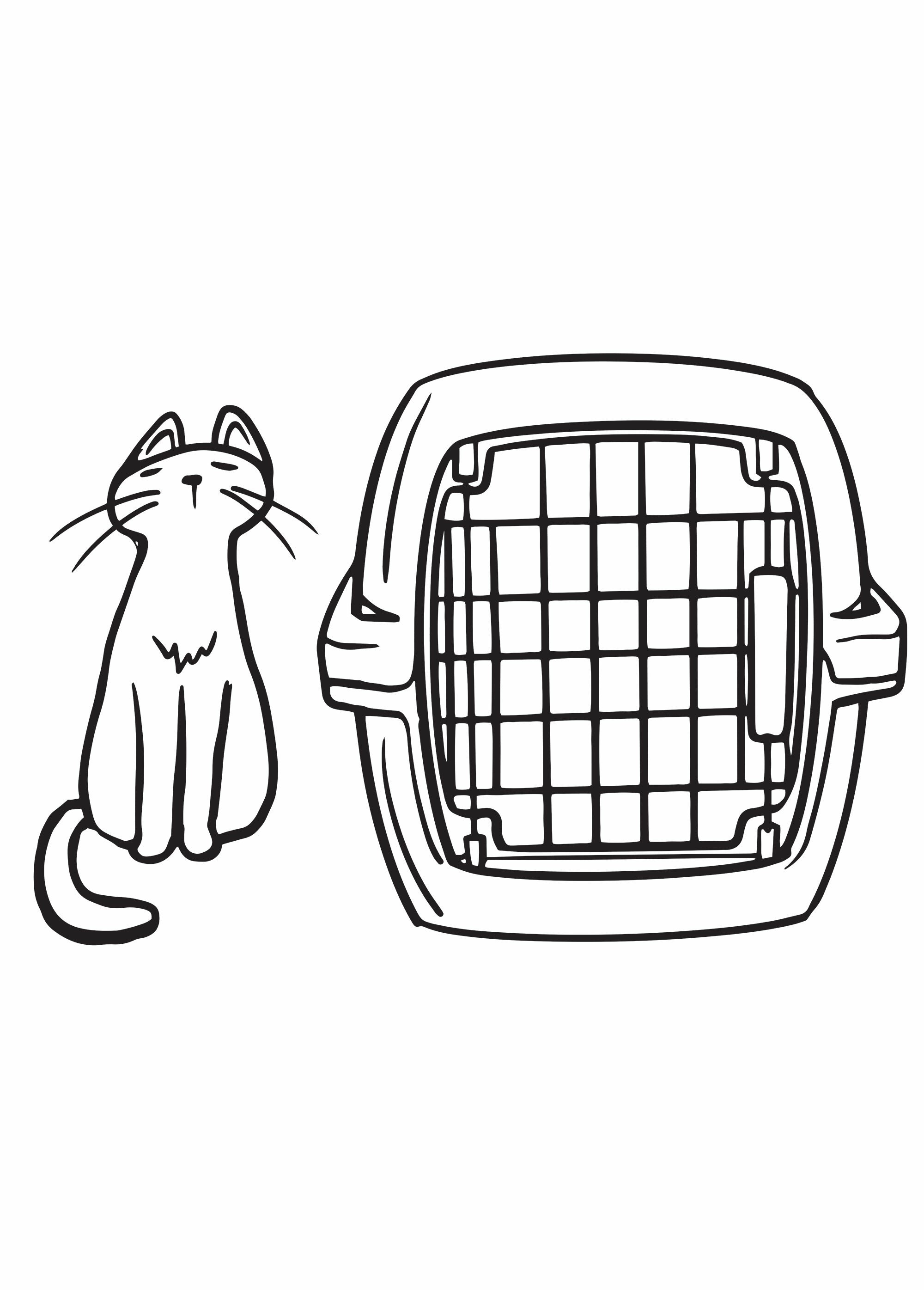 Boîte de transport pour animaux 6 kg