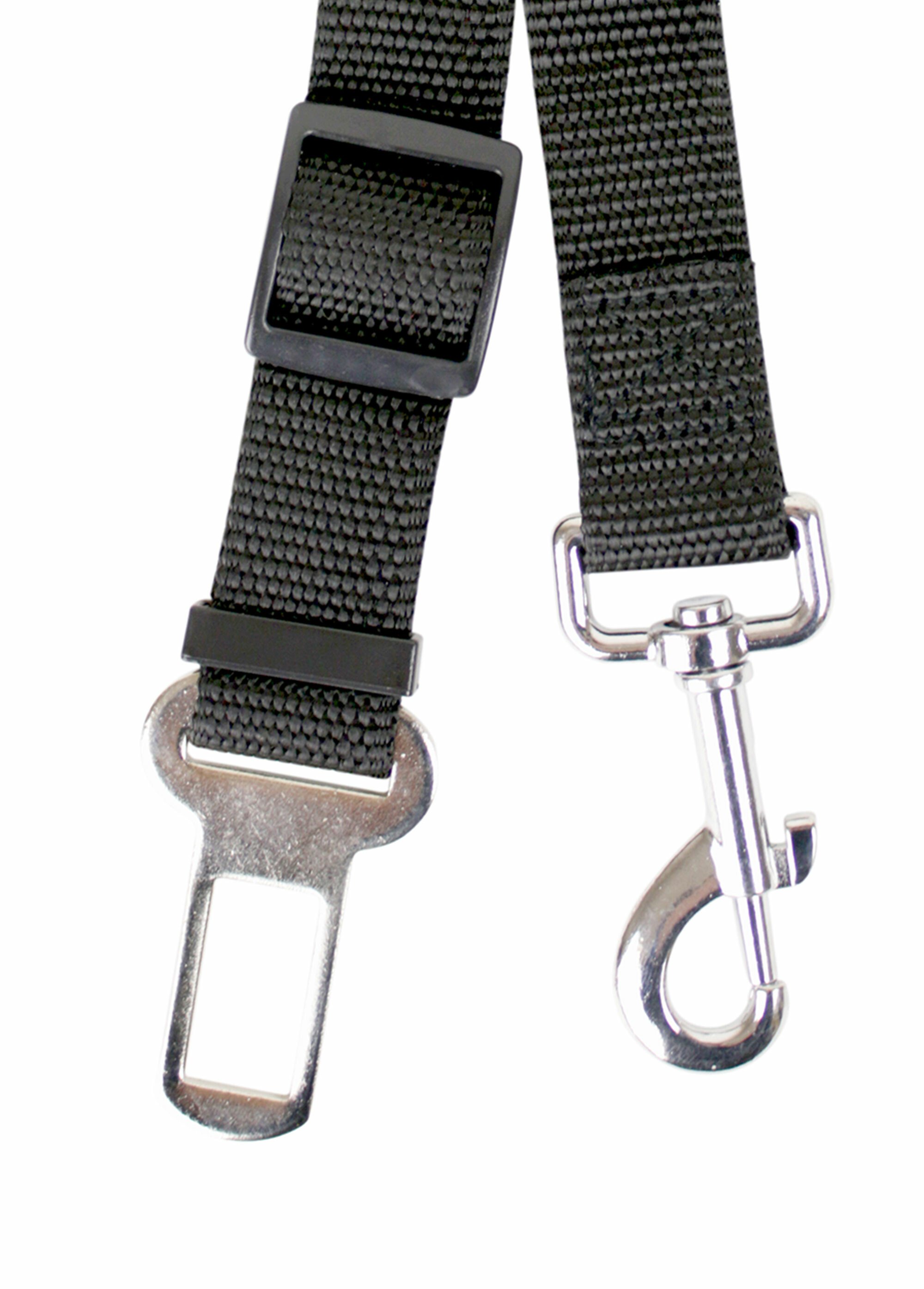 Ceinture de sécurité pour chien