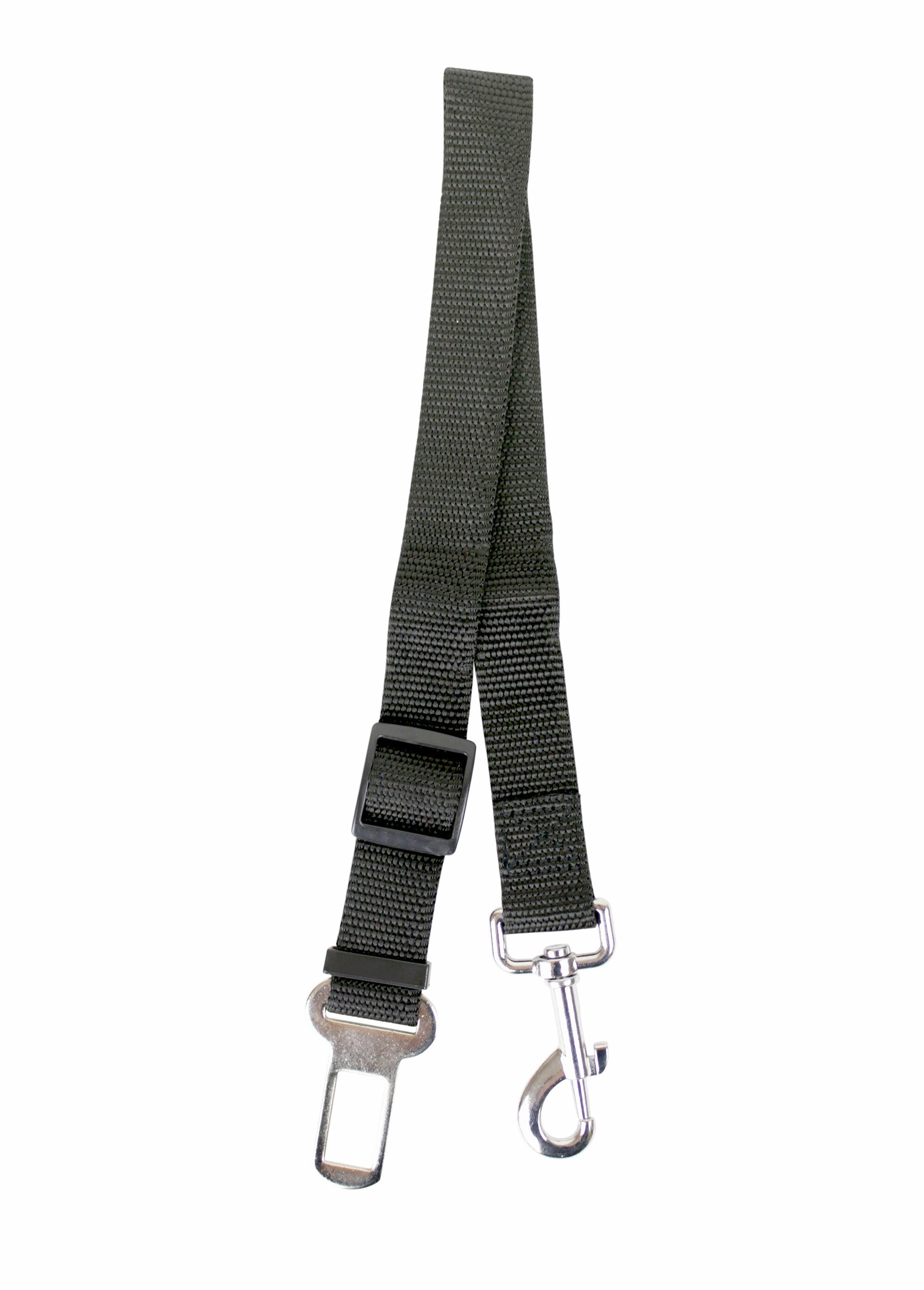 Ceinture de sécurité pour chien