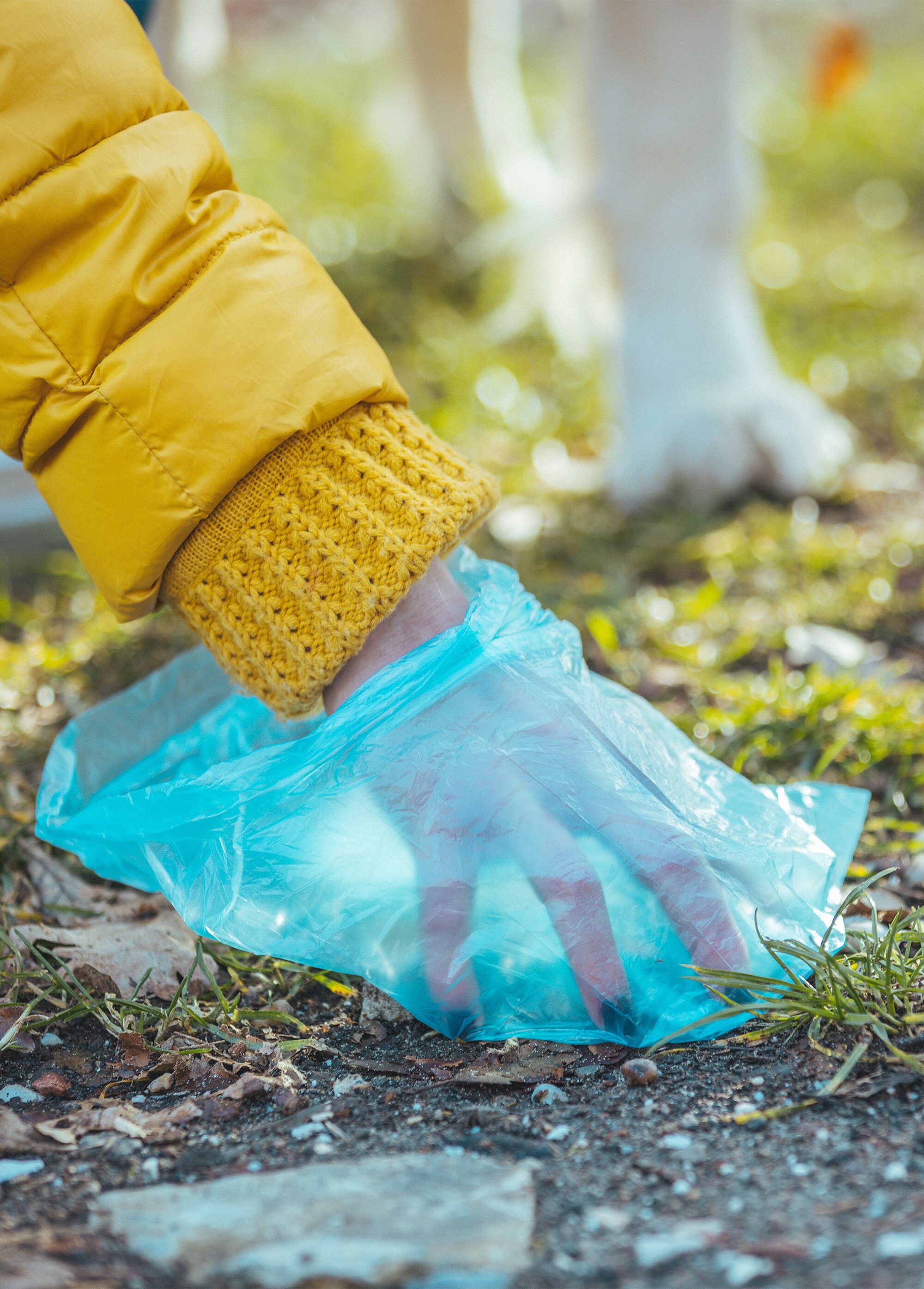 Lot de 150 sacs à déjections