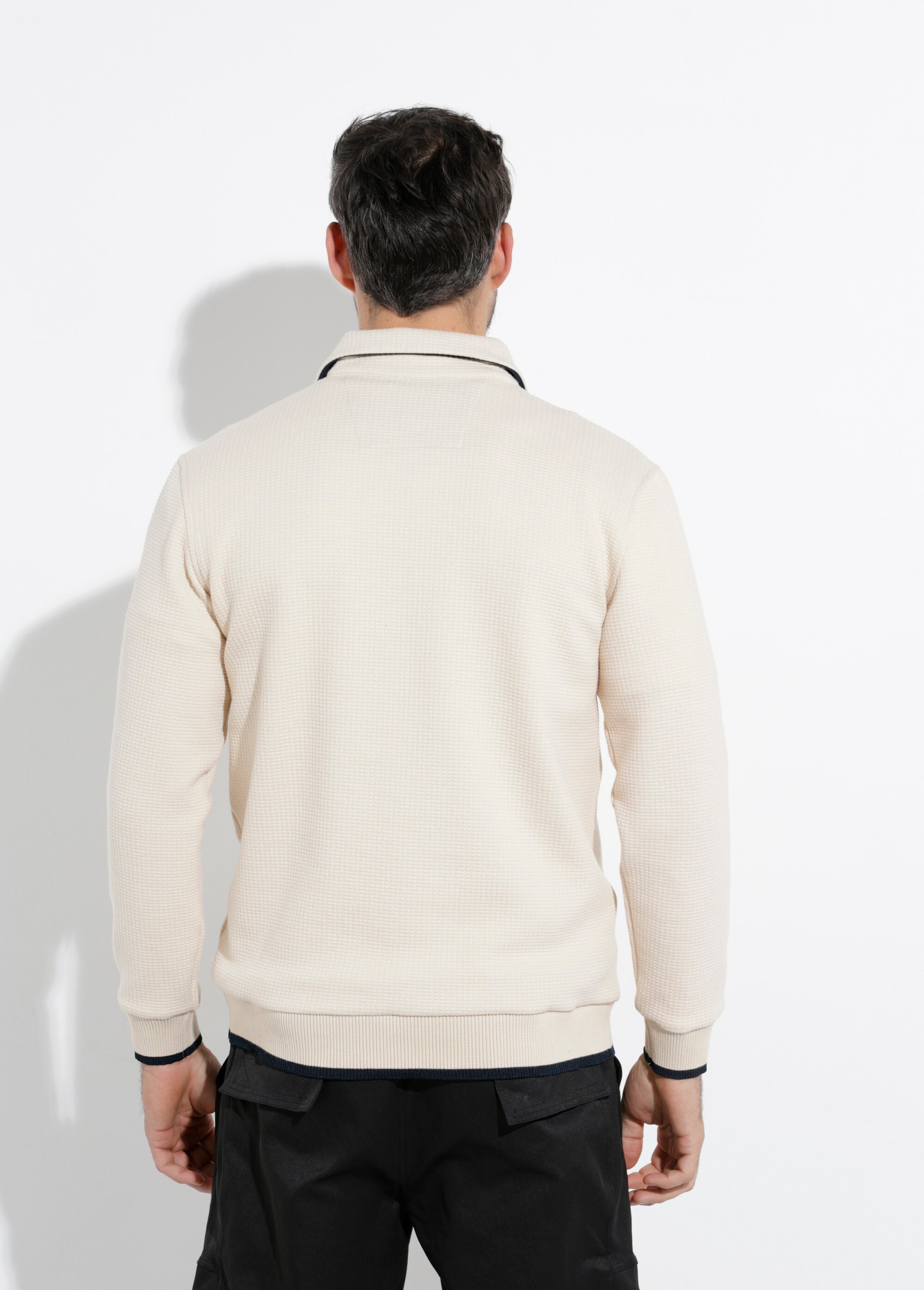 Pull maille fantaisie, col polo boutonné Beige STI24601 DO1