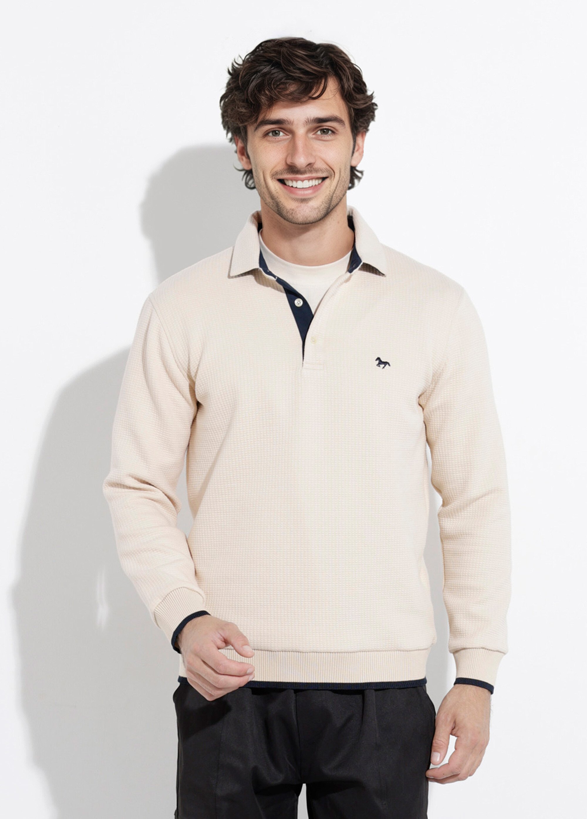 Pull maille fantaisie, col polo boutonné Beige STI24601 FA1