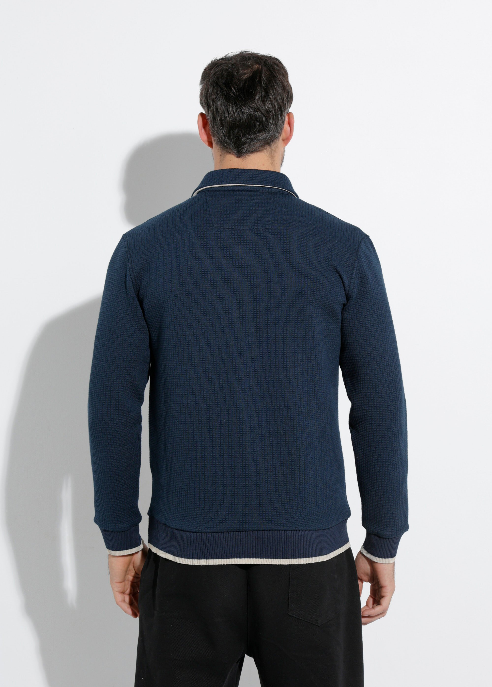 Pull maille fantaisie, col polo boutonné Bleu STI24601 DO1