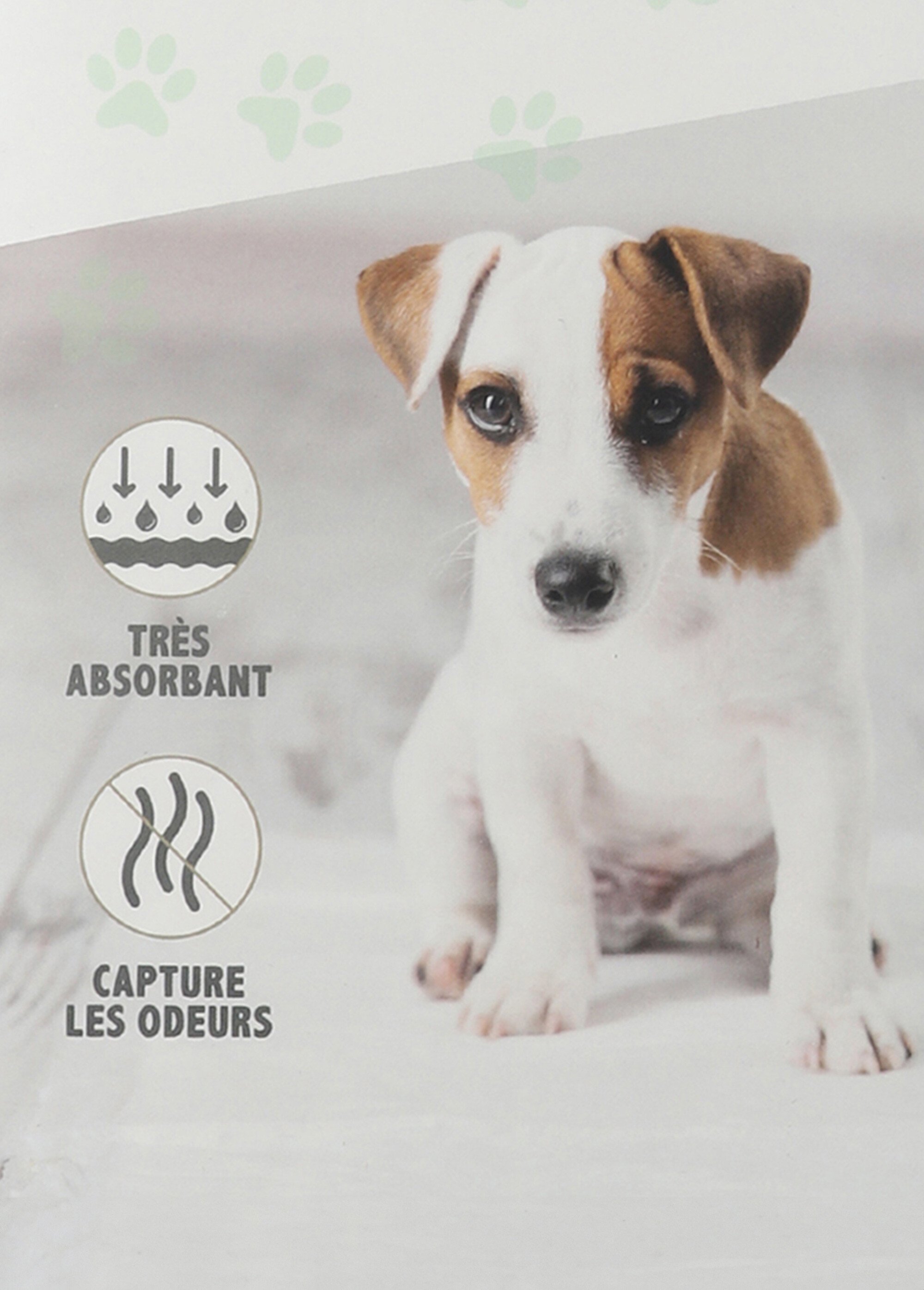 Alèse entrainement propreté pour chien