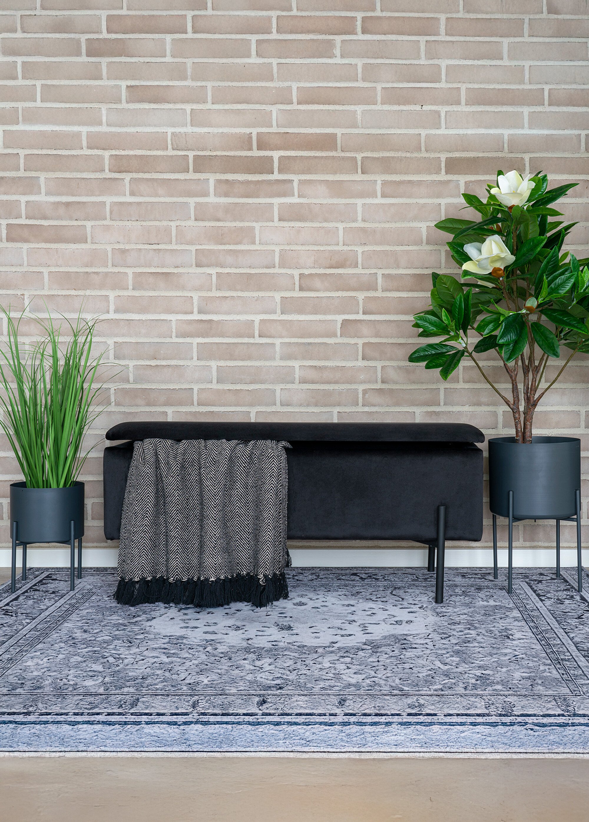 Banc velours foncé, coffre de rangement NOIR HN-1409060 SI1