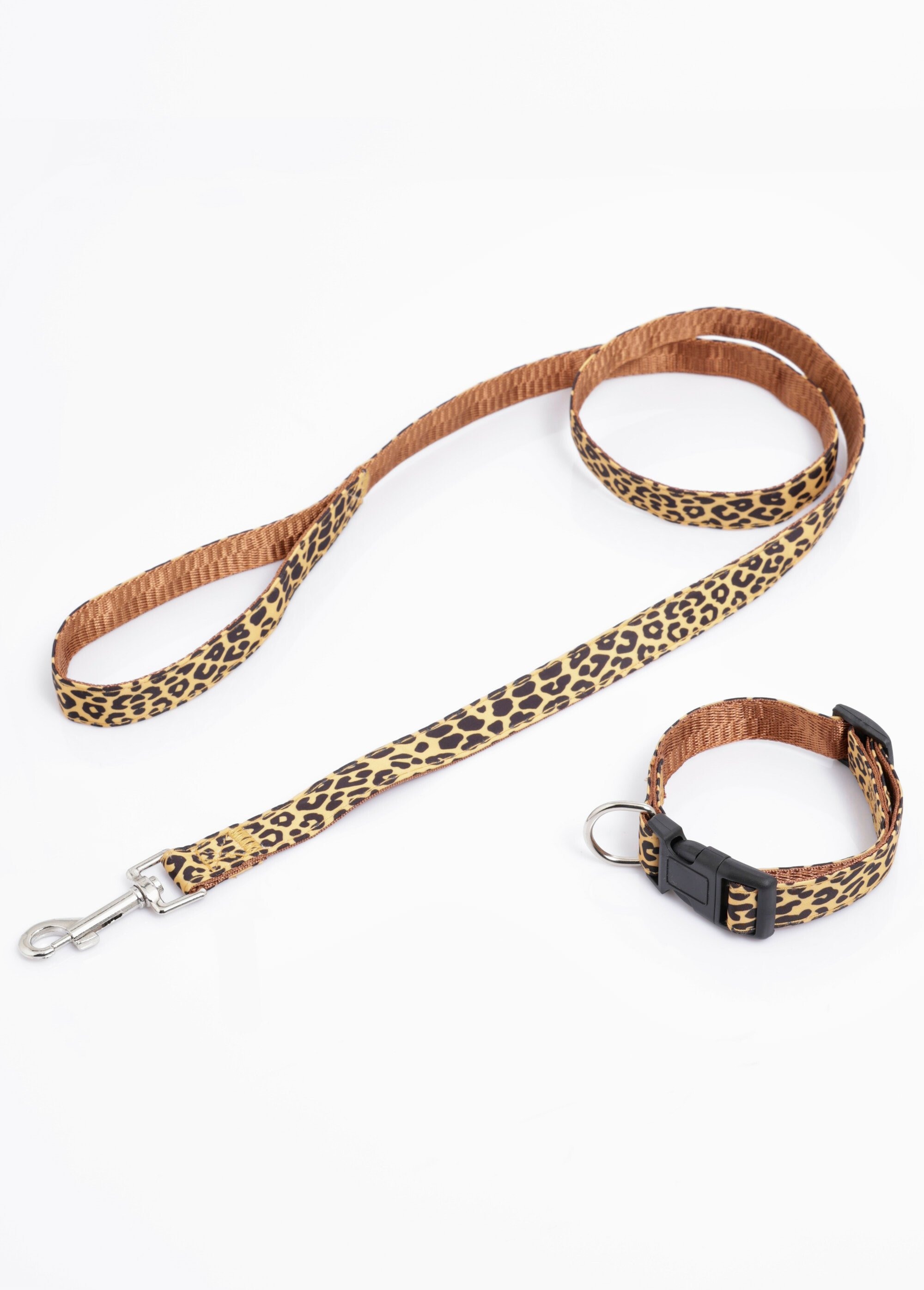 Collier pour chien + laisse léopard