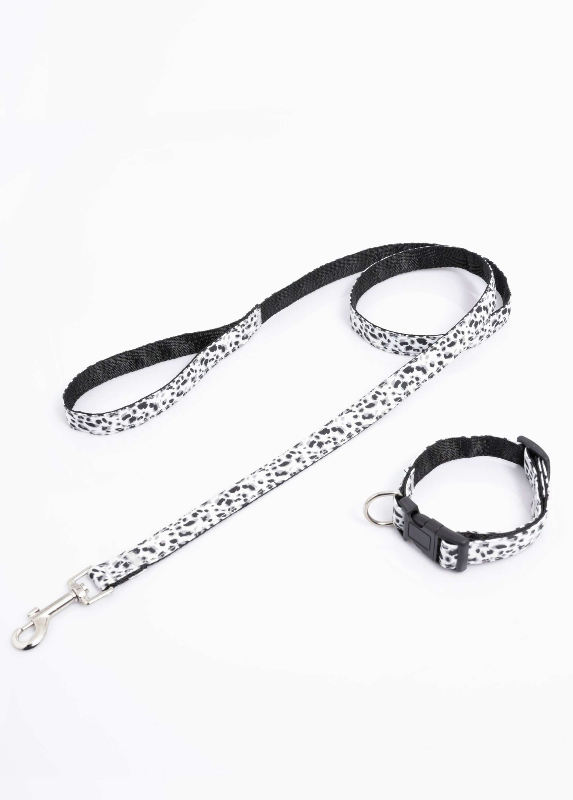 Collier pour chien + laisse léopard