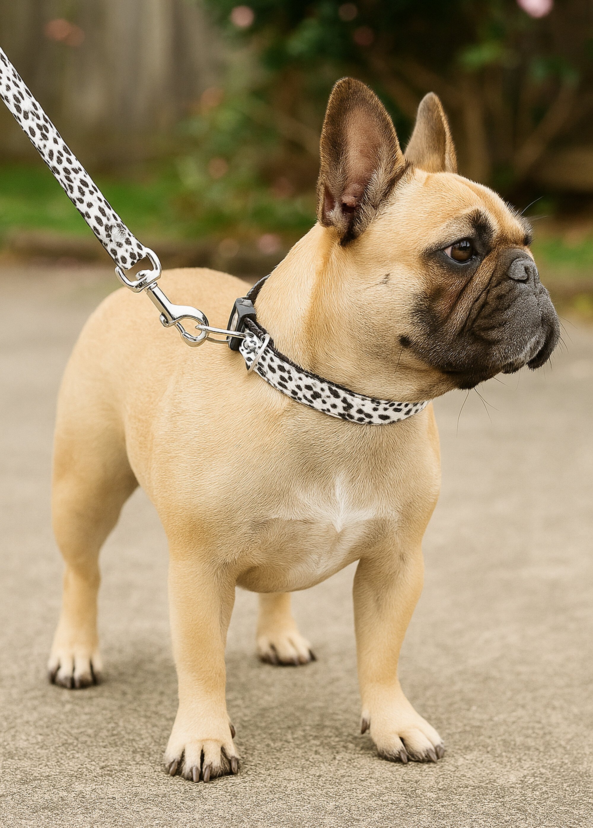 Collier pour chien + laisse léopard BLANC KP-491014170 SI1