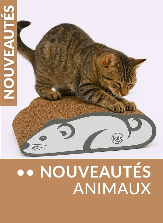 Nouveautés animaux