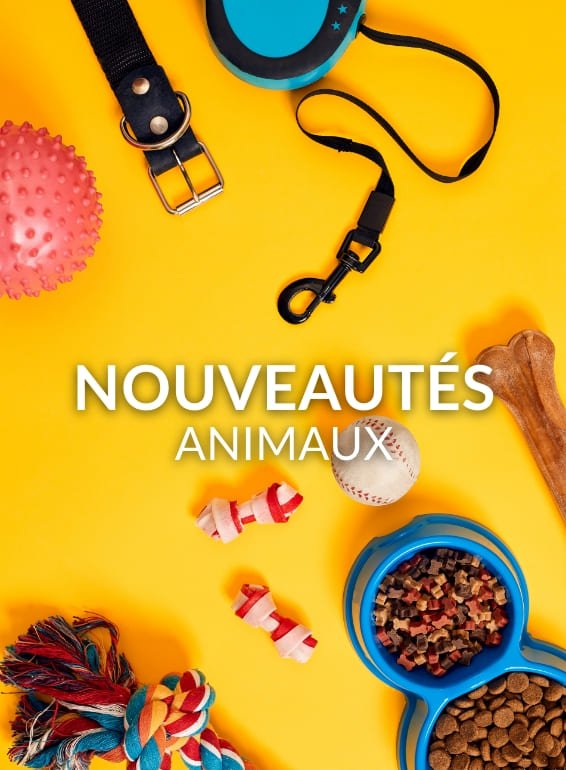 Nouveautés animaux