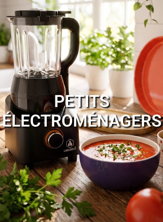 Petit électroménager